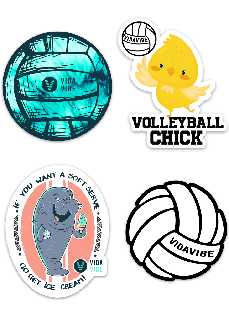 Volley Vibes Gift Bundle